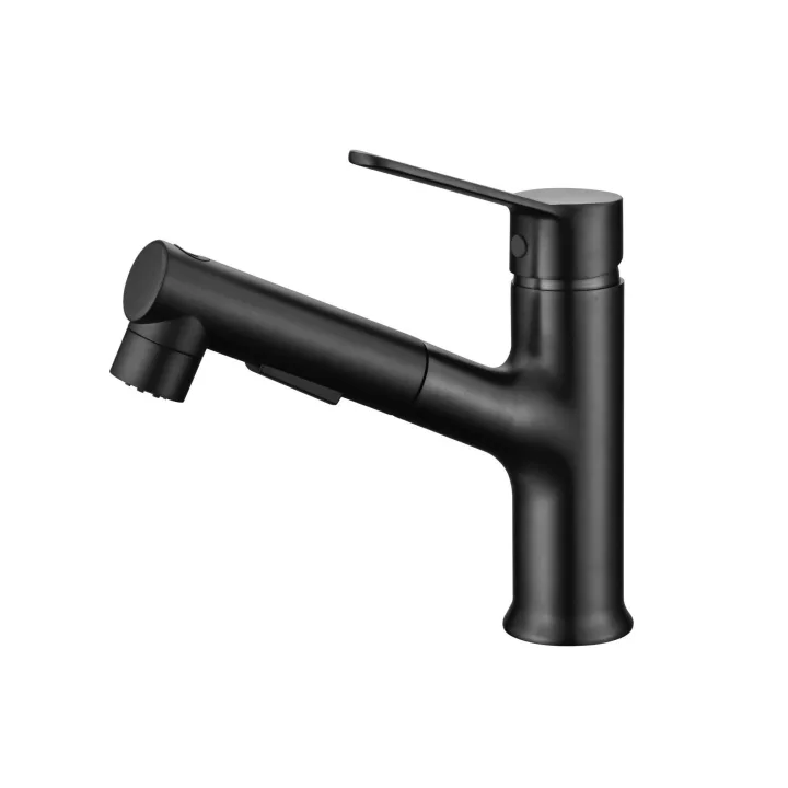 Pull-out Basin Faucet Sprayer