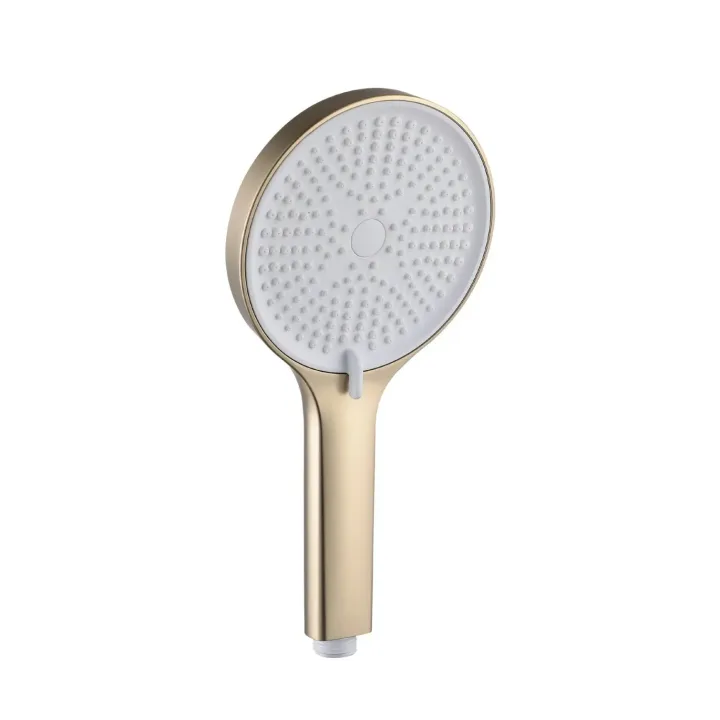 Handheld Shower Head