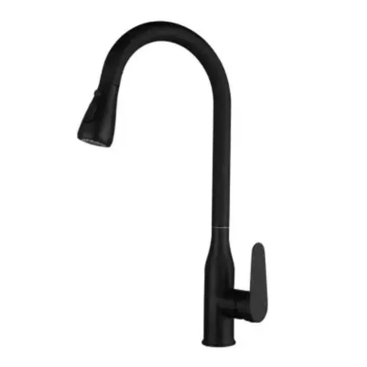 Pull-Down Kitchen Sink Mixer